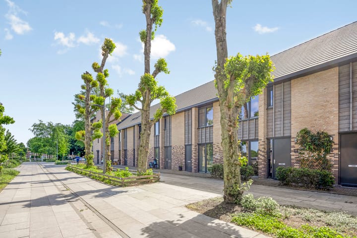 Foto 7 van Douglashout 89