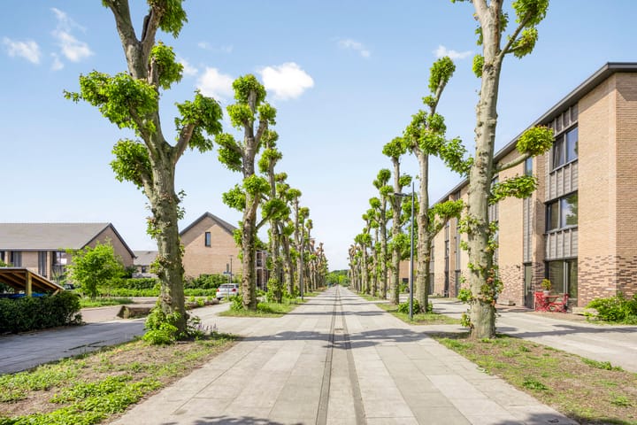 Foto 40 van Douglashout 89