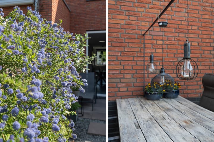 Foto 28 van Hondsdijkstraat 33