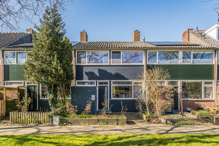 Foto 1 van Professor Pelstraat 32