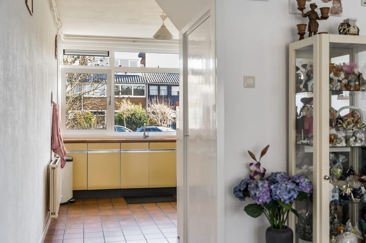 Foto 8 van Professor Pelstraat 32