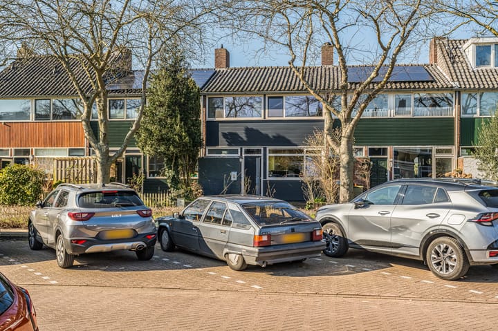 Foto 29 van Professor Pelstraat 32