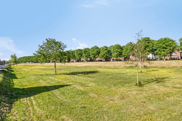 Foto 34 van Cantatehof 12