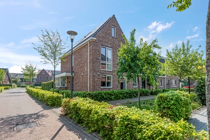 Foto 1 van Aardbei 7