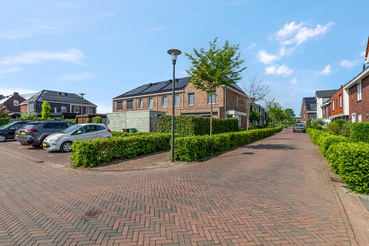 Foto 31 van Aardbei 7