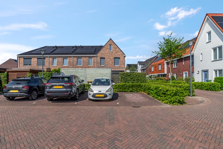 Foto 35 van Aardbei 7