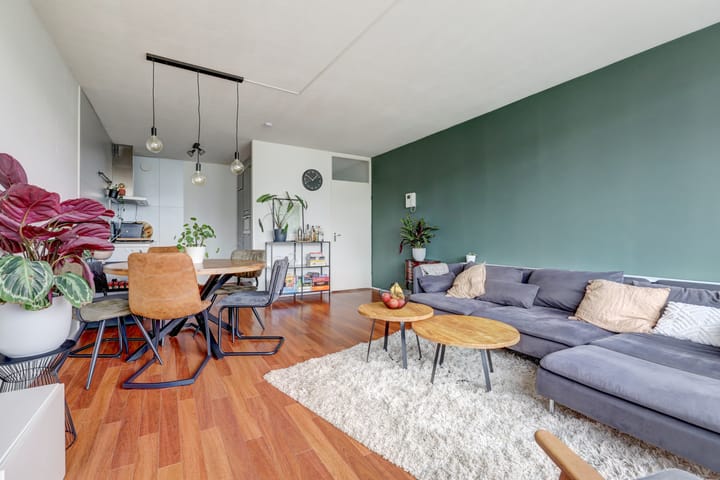 Foto 2 van van Diemerbroeckstraat 139