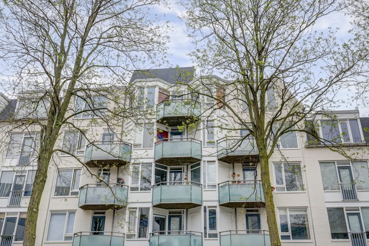 Foto 6 van van Diemerbroeckstraat 139