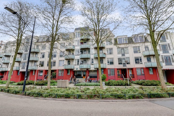 Foto 32 van van Diemerbroeckstraat 139