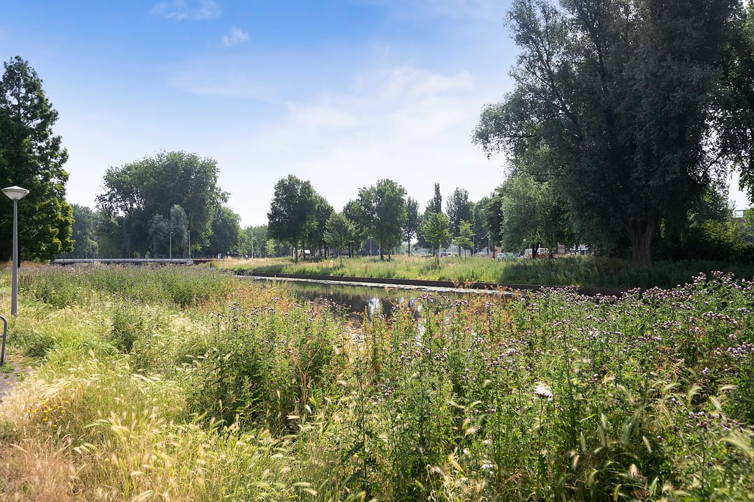 Foto 31 van Prof. R. Casimirstraat 73