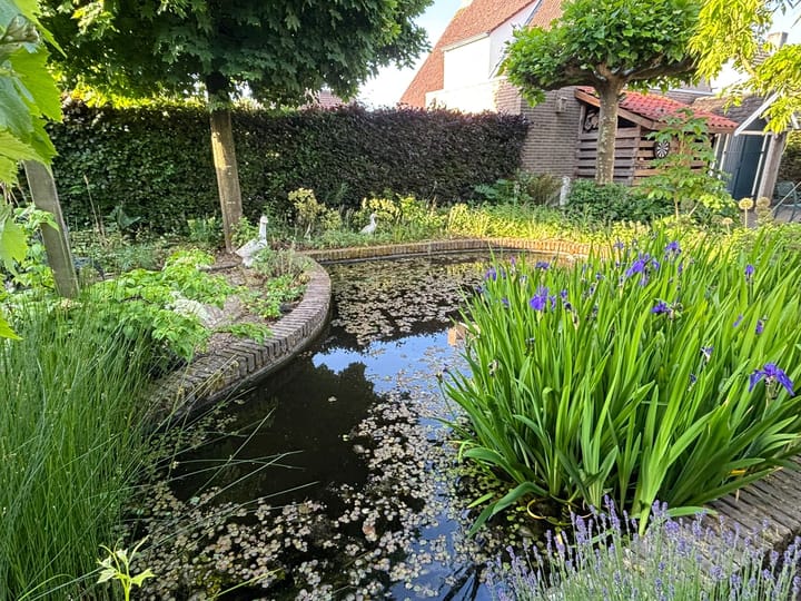 Foto 38 van Schans 10