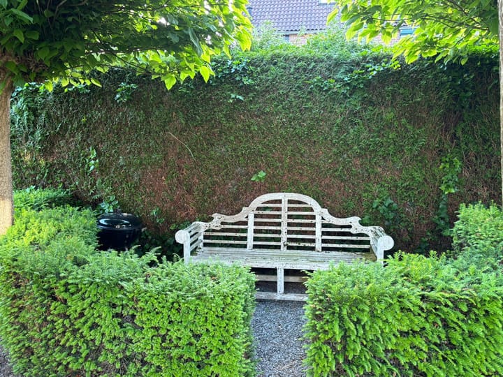 Foto 42 van Schans 10