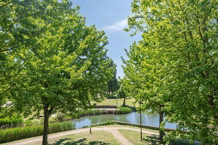 Photo 35 of Wolfsbossingel 33