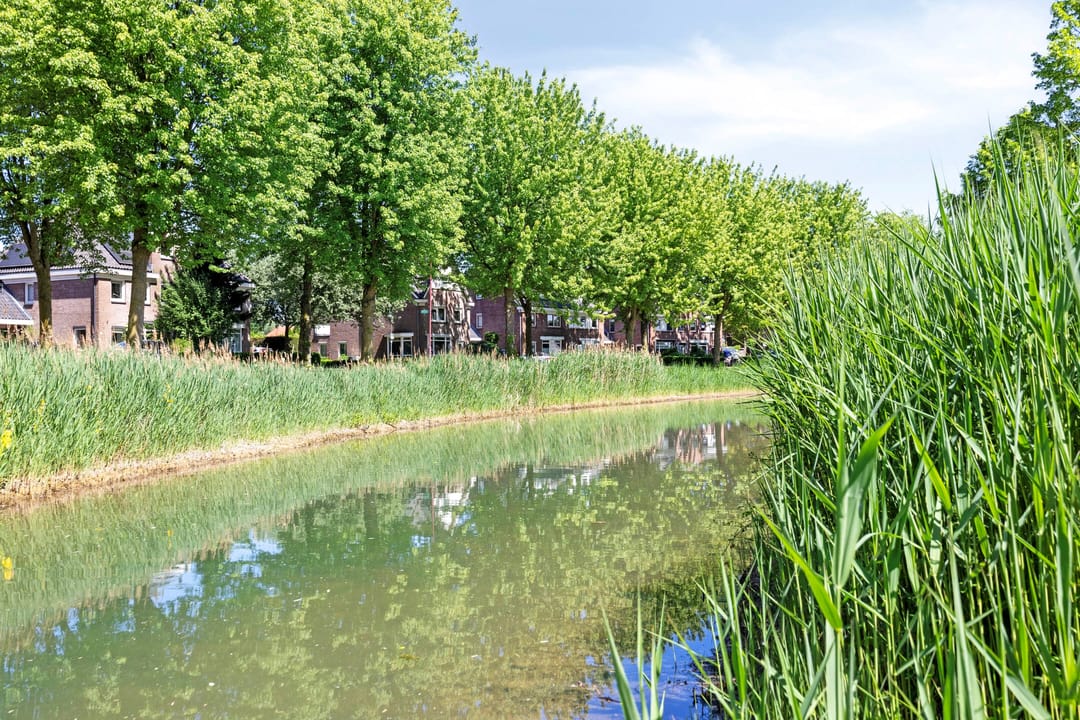 Foto 37 van Wolfsbossingel 33