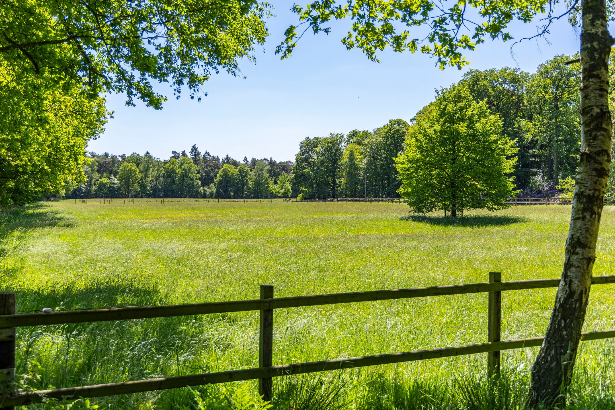 Foto 9 van Kleine Linderesweg 50