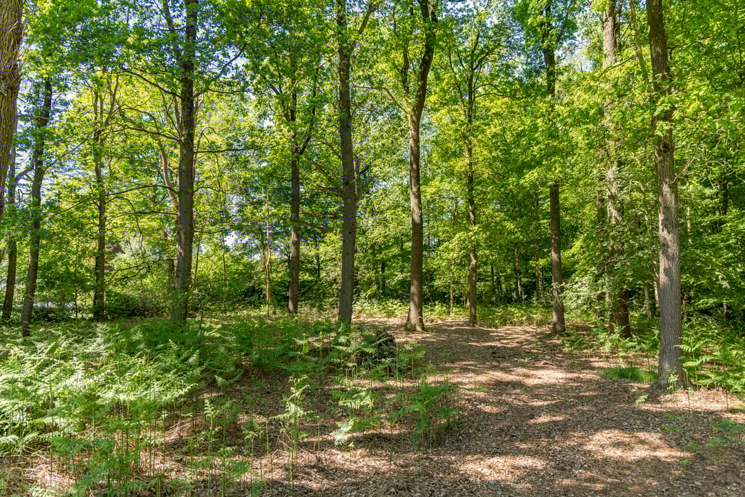 Foto 22 van Kleine Linderesweg 50