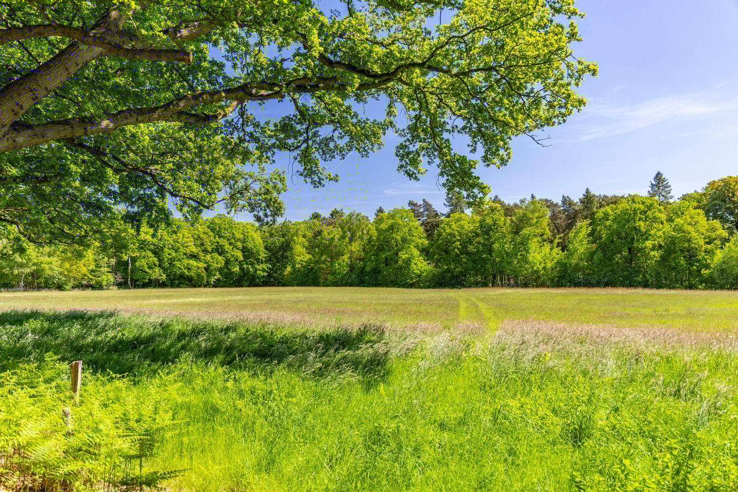 Foto 44 van Kleine Linderesweg 50