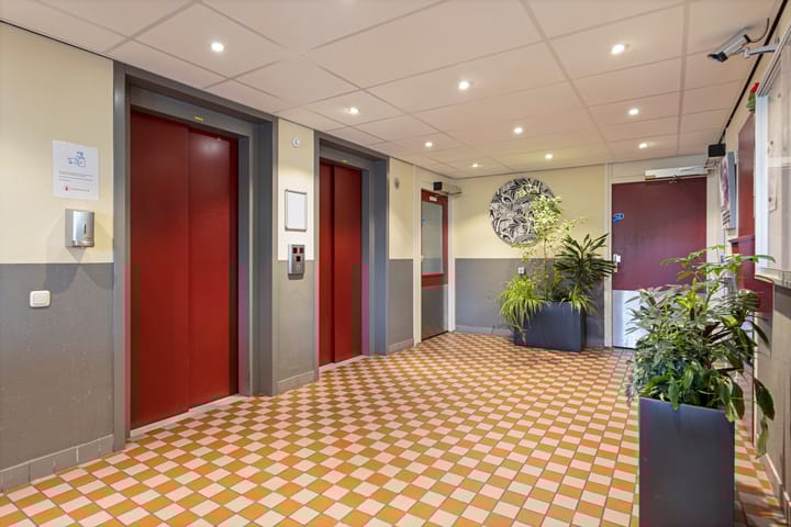 Foto 4 van IJmeer 55