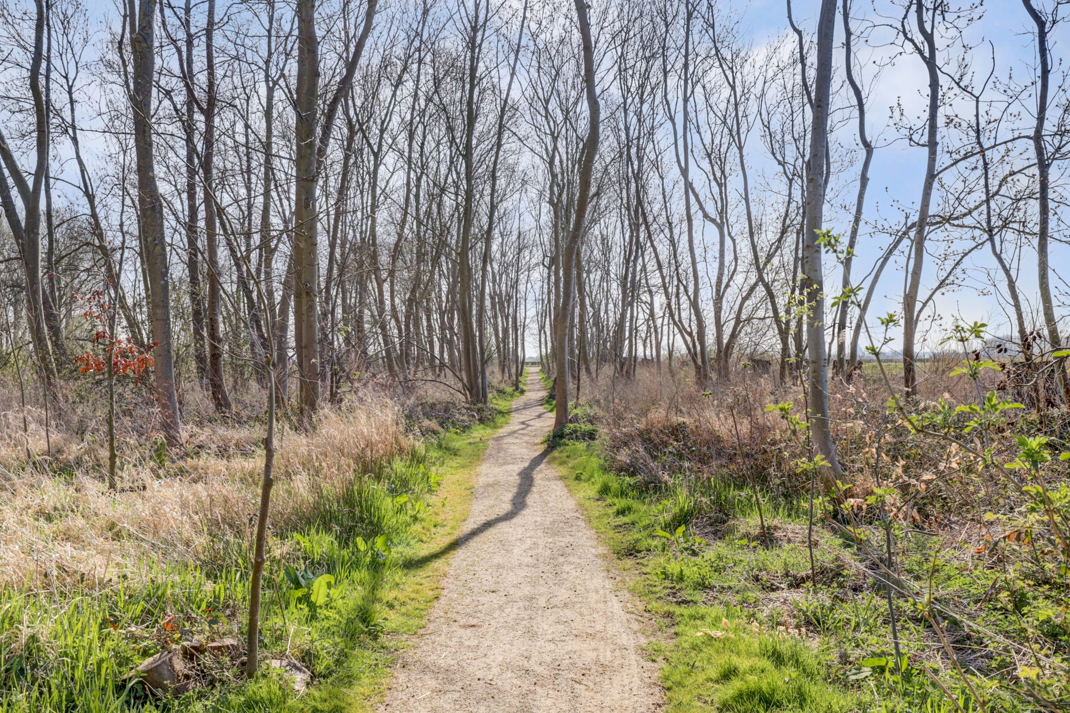 Foto 51 van Haagwijk 26