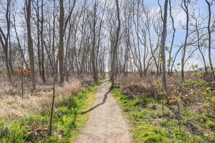 Foto 51 van Haagwijk 26