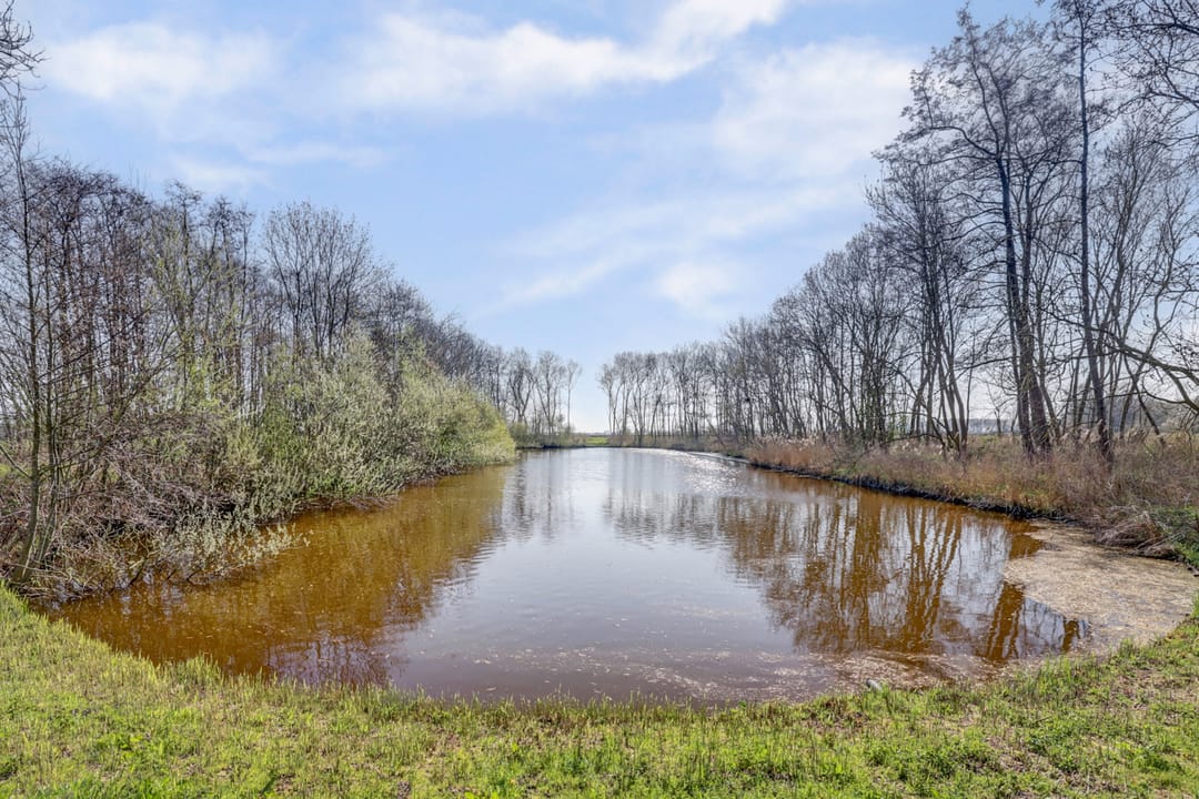 Foto 52 van Haagwijk 26