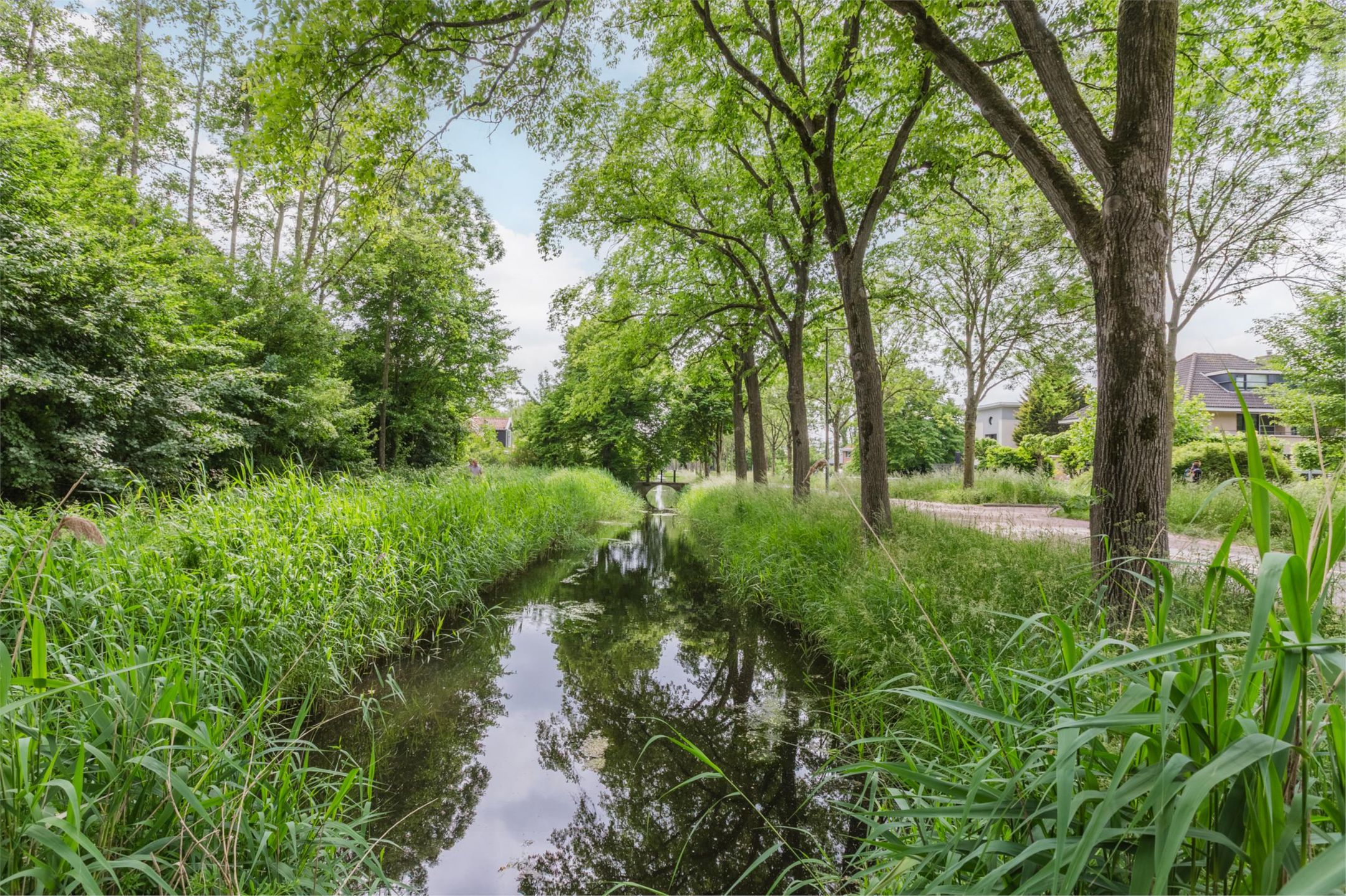 Foto 54 van Sellingerbos 11