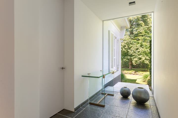 Foto 19 van Struikenlaan 13