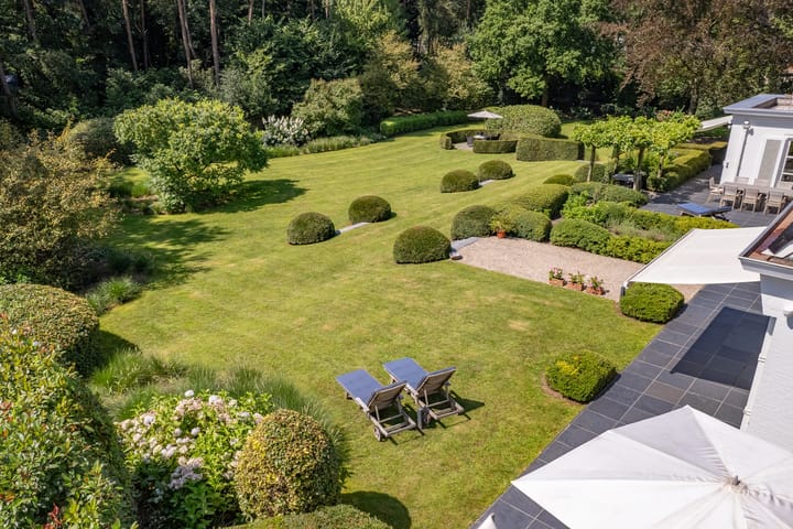 Foto 39 van Struikenlaan 13