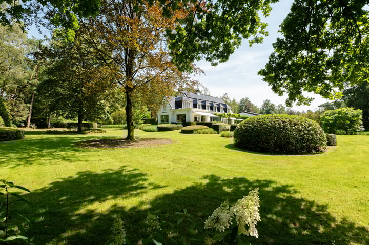 Foto 44 van Struikenlaan 13