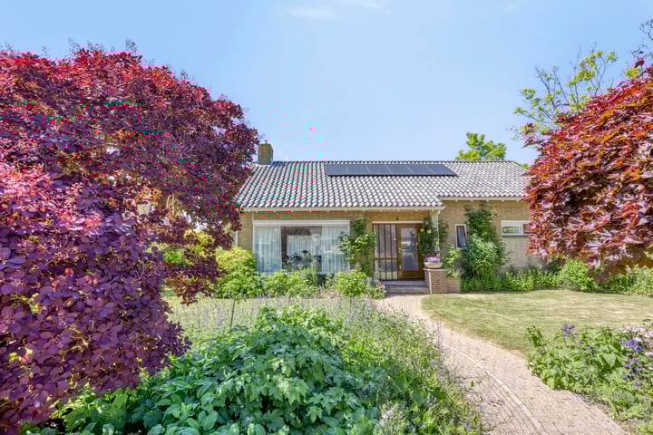 Foto 2 van Schapendijkje 3