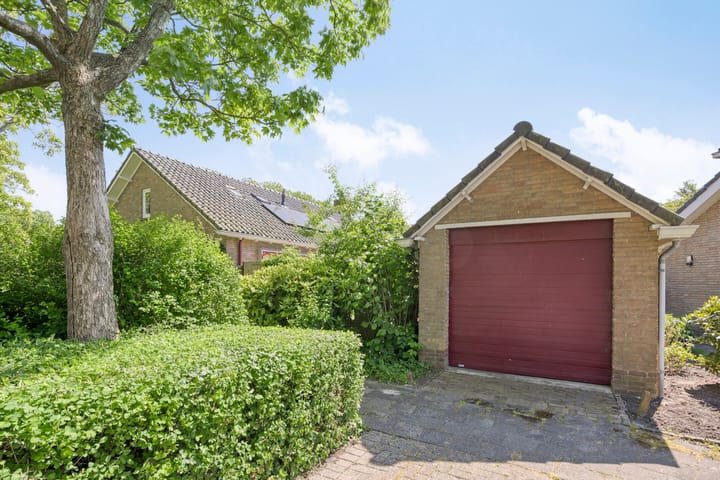 Foto 38 van Schapendijkje 3