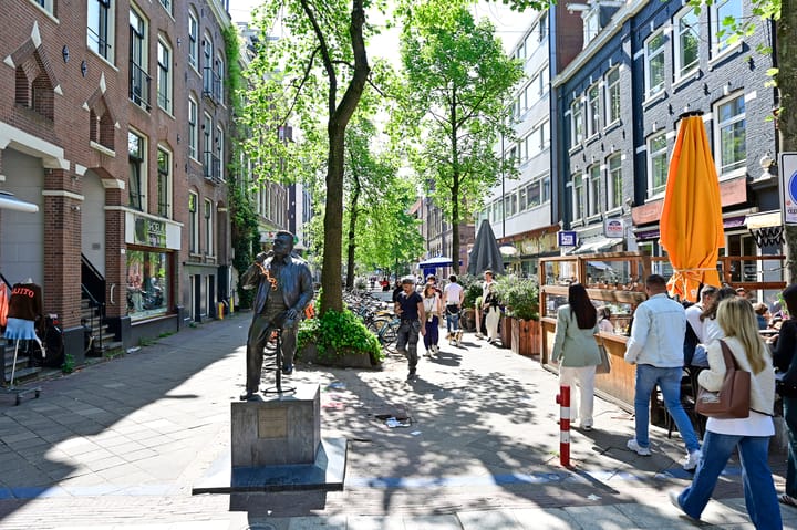 Photo 21 of Govert Flinckstraat 257