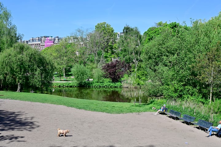 Photo 34 of Govert Flinckstraat 257