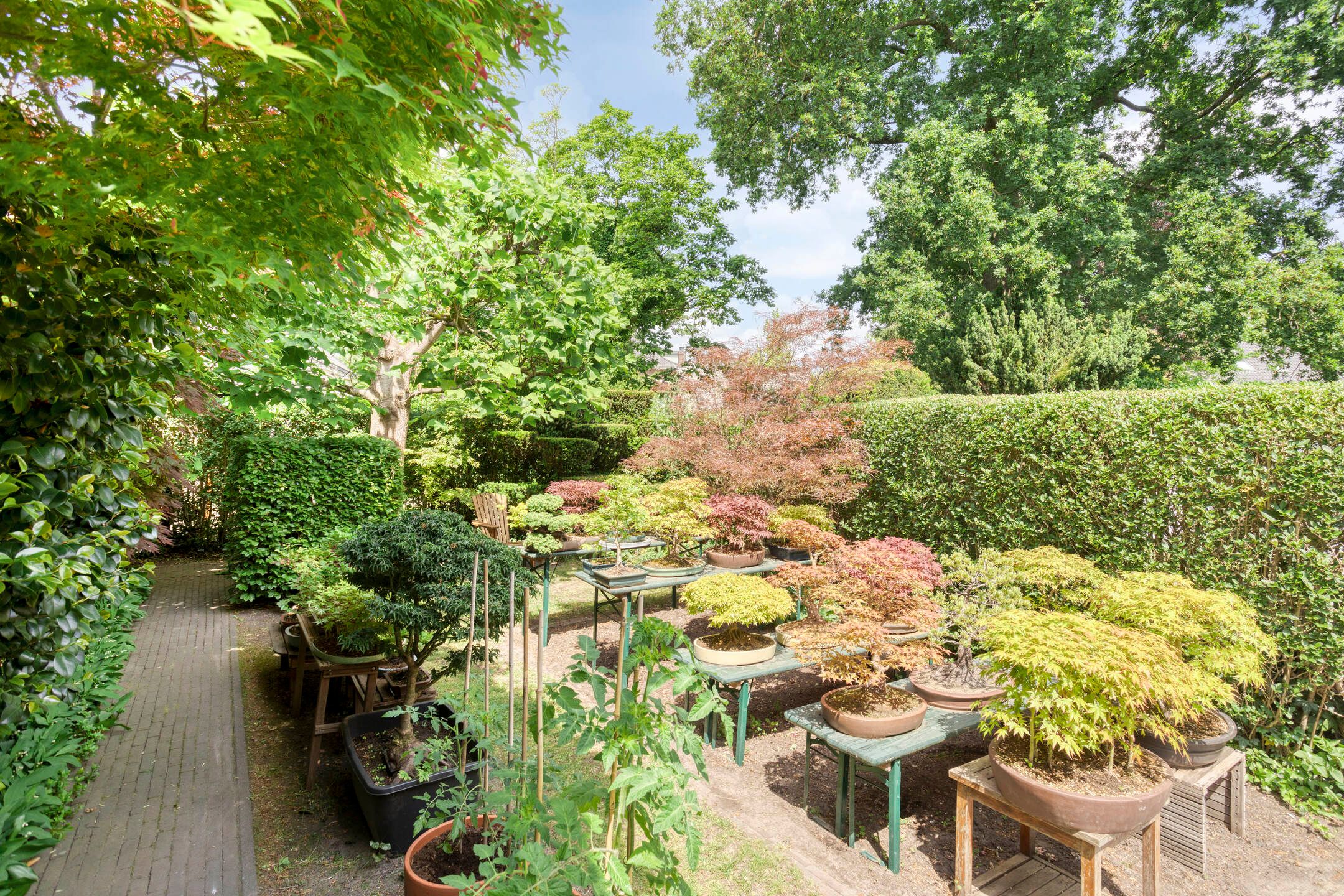 Foto 30 van Lijsterlaan 26