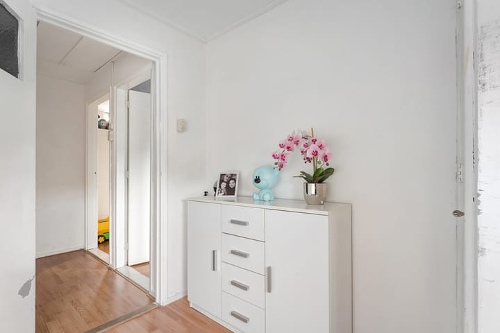 Foto 24 van van Limburg Stirumstraat 25