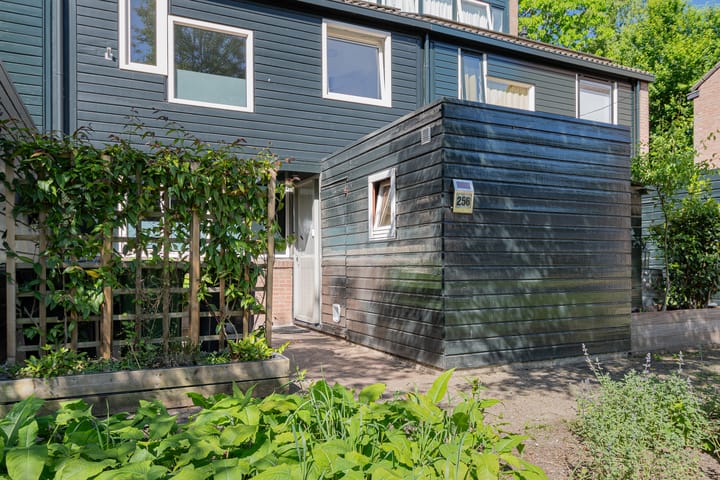 Foto 6 van Ruinerbrink 256