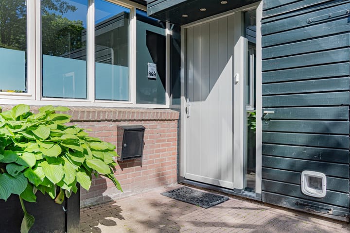 Foto 7 van Ruinerbrink 256