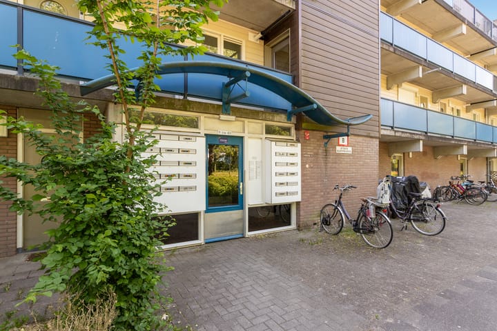 Foto 25 van Chilidreef 63