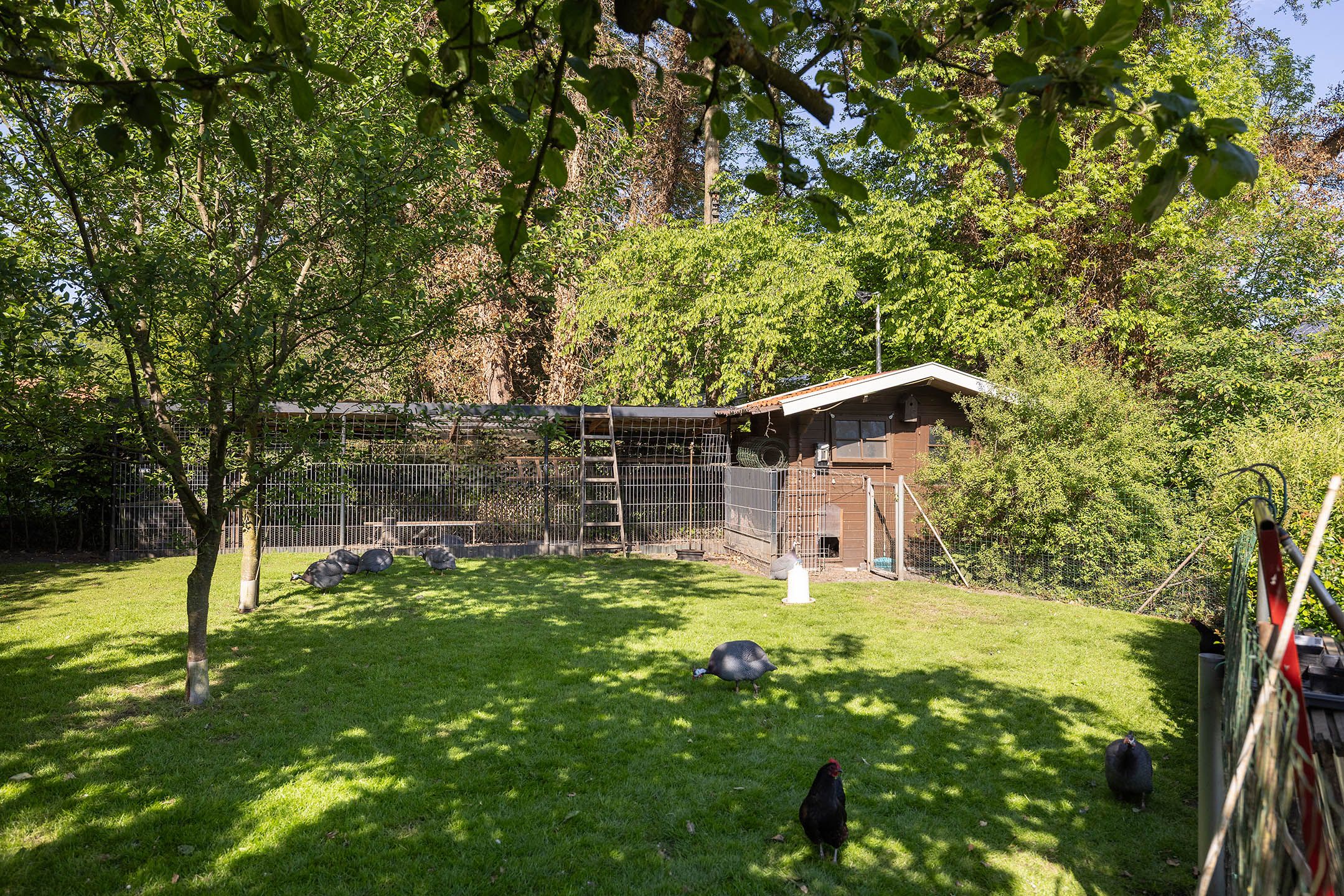 Photo 33 of Höcklenkamper Straße 11