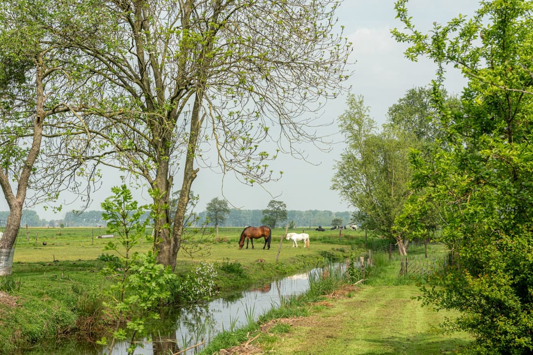 Foto 46 van Aengwirderweg 297