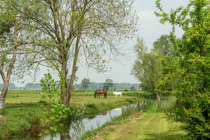 Foto 46 van Aengwirderweg 297