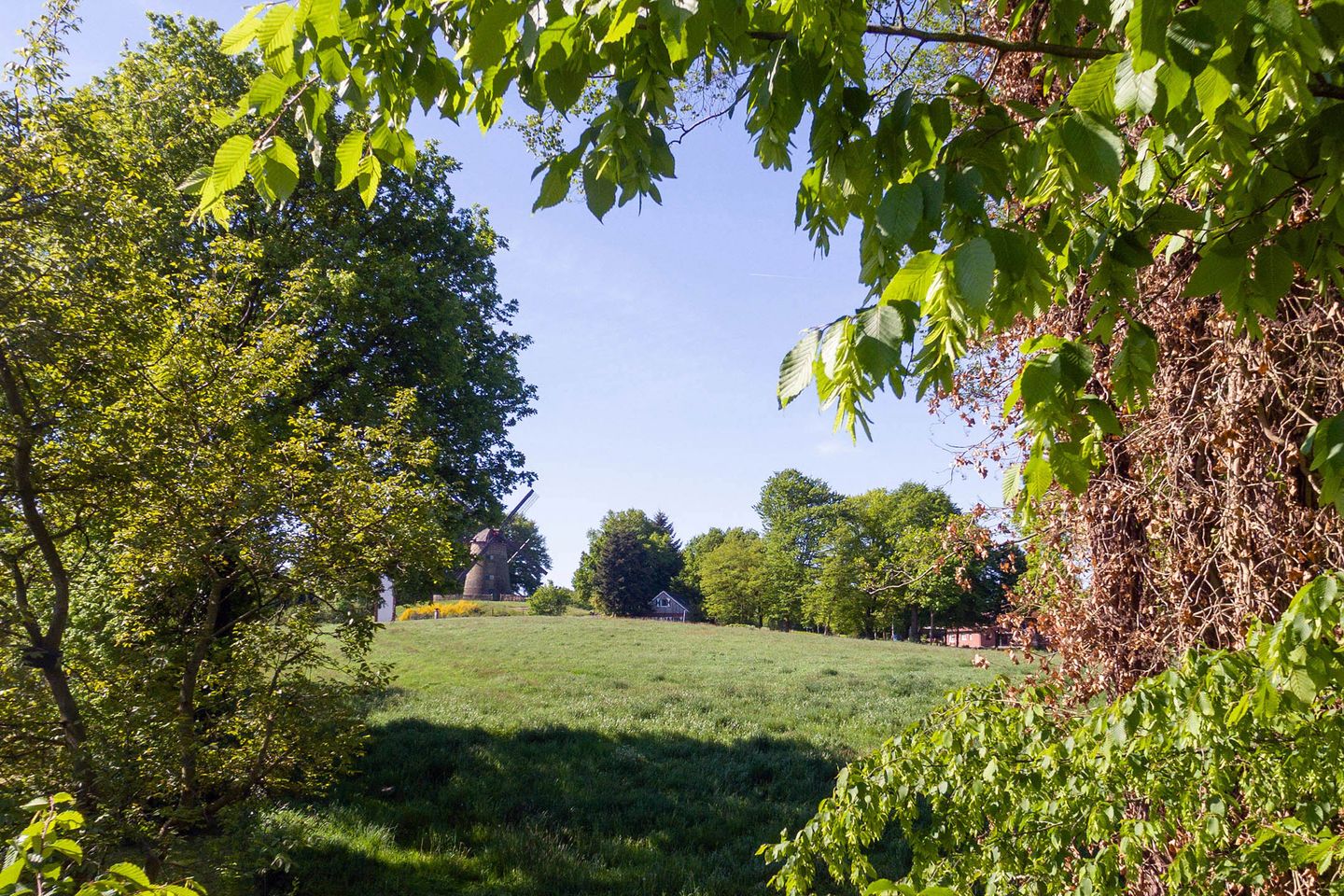 Photo 34 of Höcklenkamper Straße 11