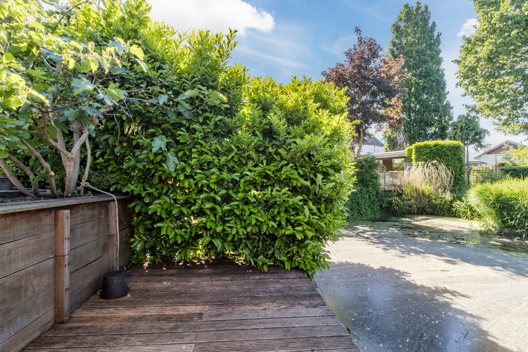 Foto 38 van Poldermolen 39