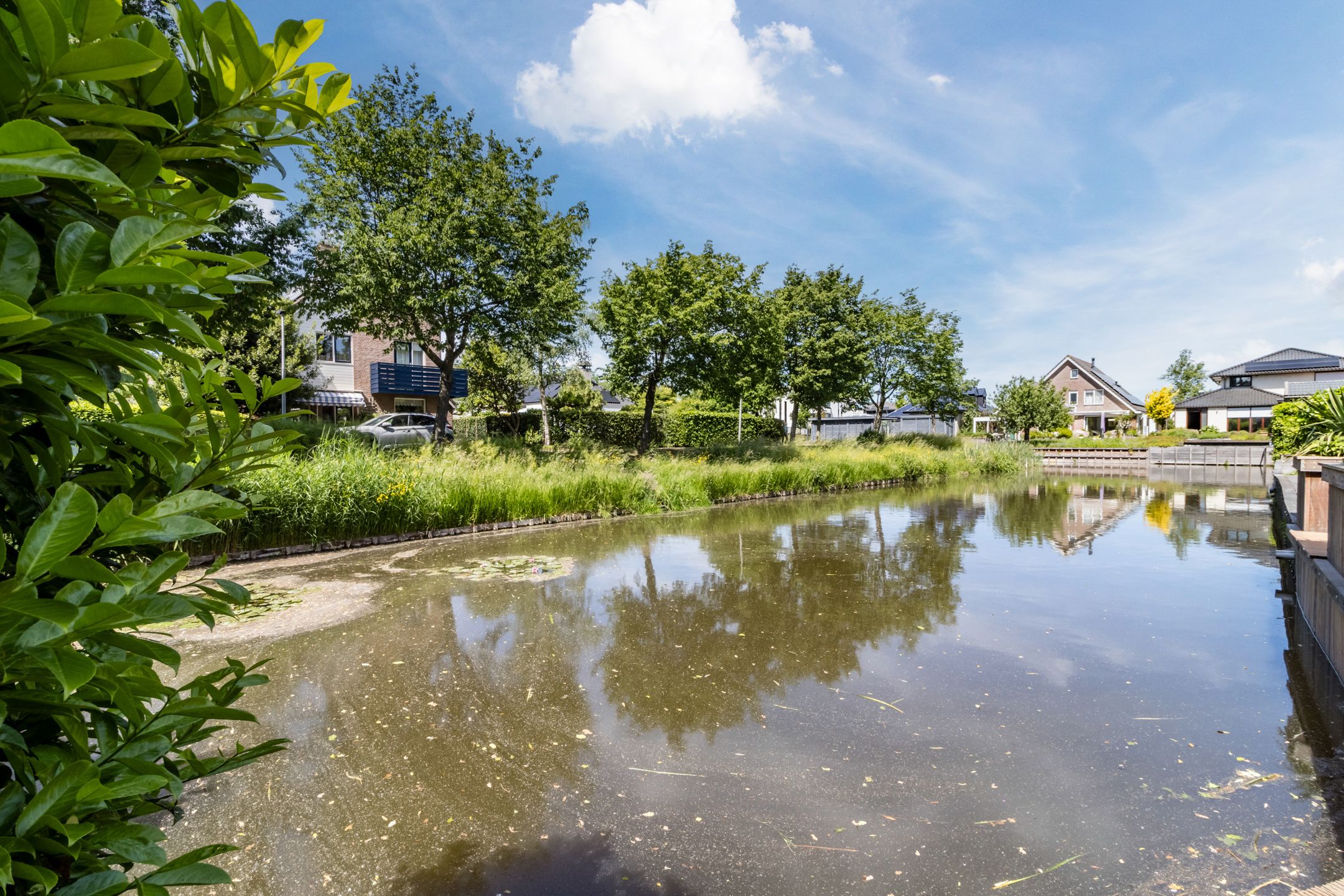 Foto 39 van Poldermolen 39