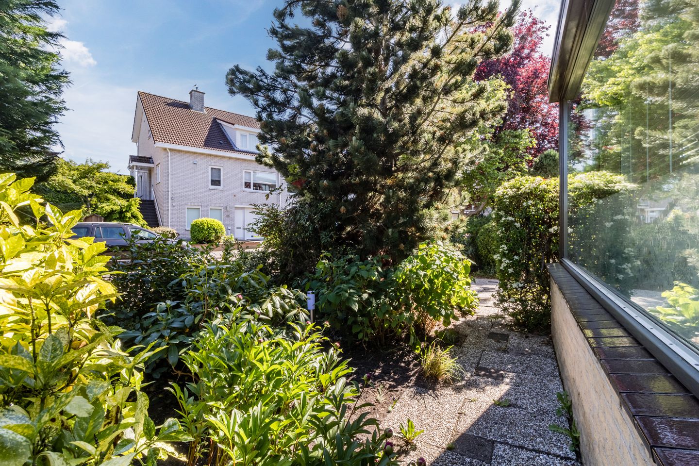 Foto 40 van Poldermolen 39