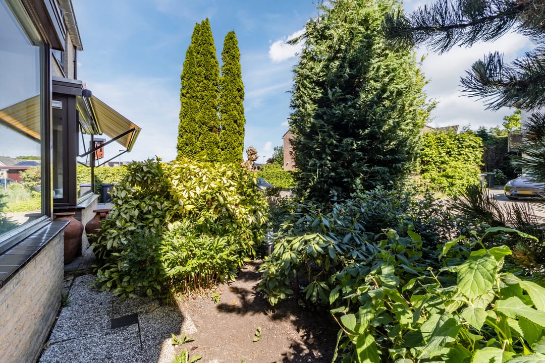 Foto 41 van Poldermolen 39