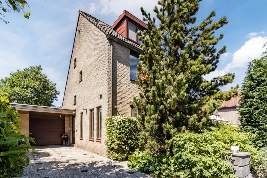 Foto 47 van Poldermolen 39