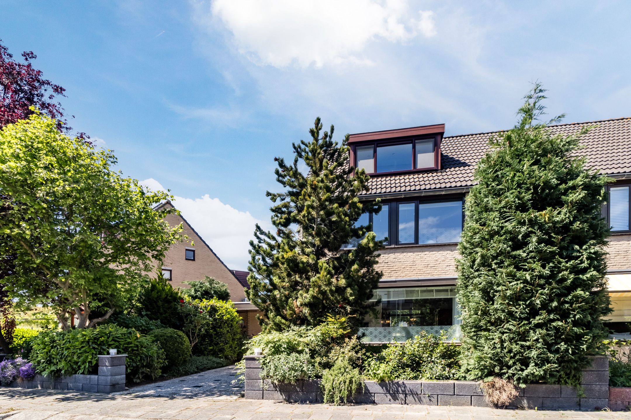 Foto 48 van Poldermolen 39