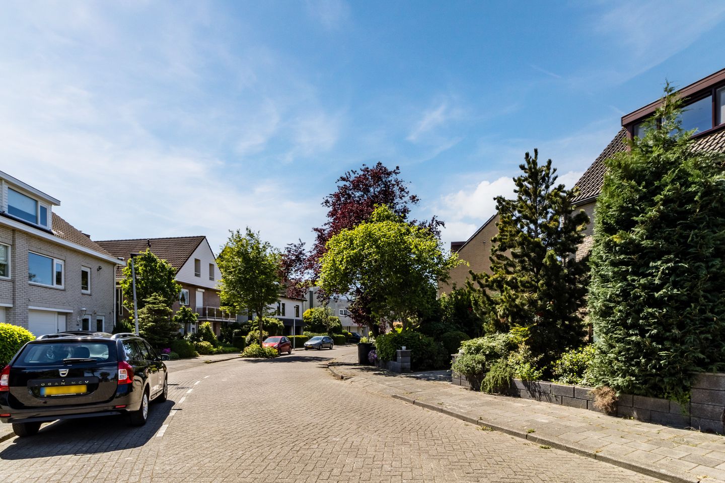 Foto 49 van Poldermolen 39