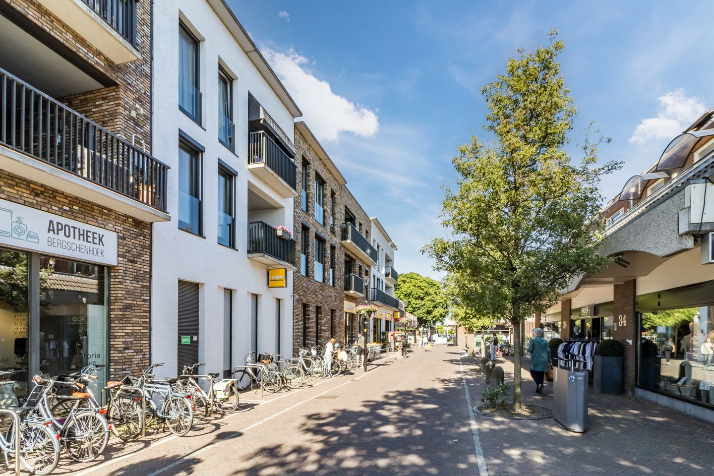 Foto 50 van Poldermolen 39